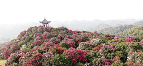 e2a29bed-6739-4439-8ac3-e63e1ade6f2f1646963635415