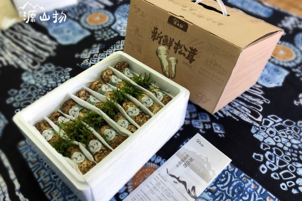 bc912ee2-cdf0-415a-9efa-ae57d0f7613b1660277287972 bc912ee2-cdf0-415a-9efa-ae57d0f7613b1660277287972