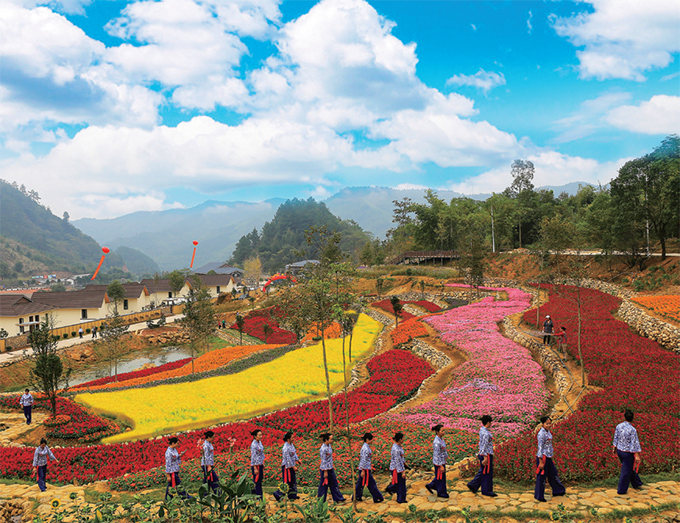 251b92df-4855-4ecf-8e0e-d2bd5e417e251660878909915