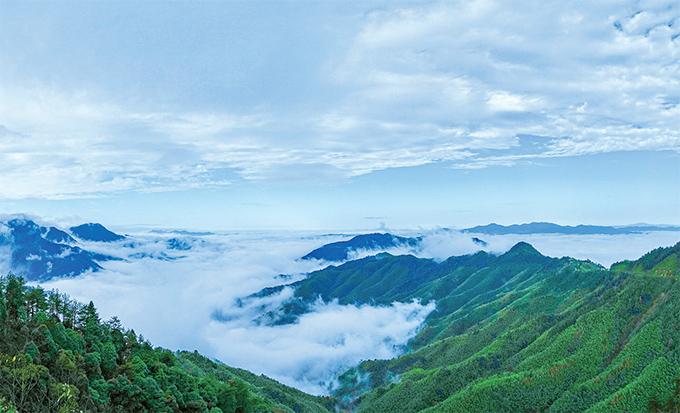 9dea82e6-1045-4d7c-8118-4af4f36aa38e1691635044019