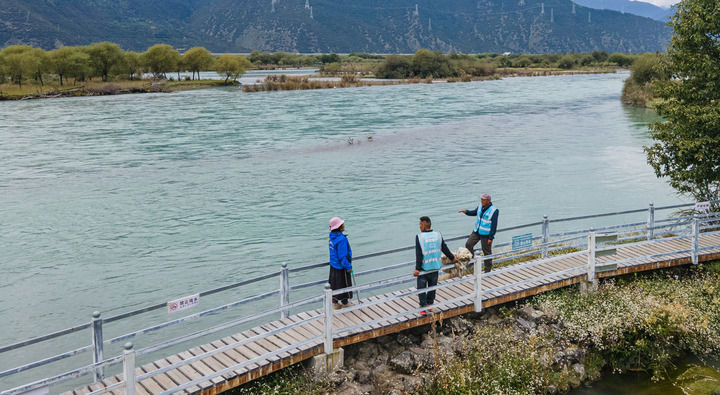 8ce20364-caad-4941-ab38-58ff83bd73bd1732259493881