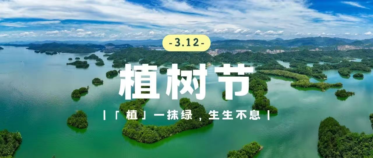 c16614bd-3c7a-4685-b3f7-8c00f92f29b71741780755392