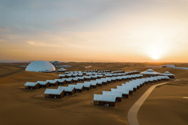 95ac0d3f-663a-4d1e-9b5a-72e040b617c61742455962896