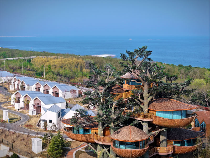 18e1ffda-2122-4e81-b256-8386d53b12eb1747144748910