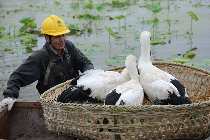 20180102091792.jpg 8414821.jpg