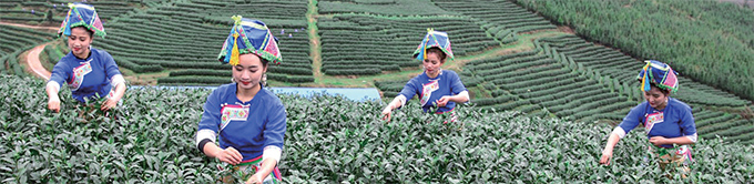 1d62aeaf-e08e-48e0-96cd-629a7ba6f0fd1639709798145