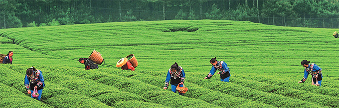 5fd0af1c-3ea4-4cf7-9847-ce8a3b3b41b61639709485617