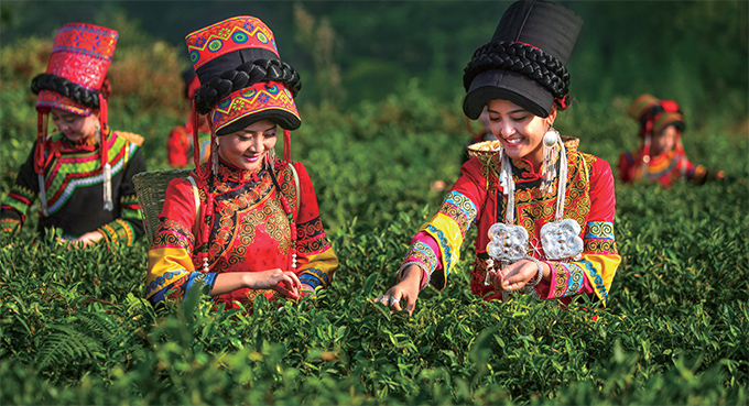 d22caa48-7317-4a22-809c-be82f696135d1639715050945